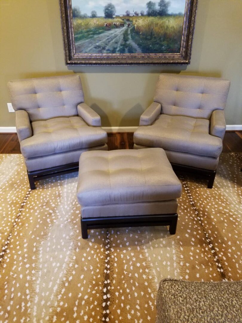 modern sofa for the living room